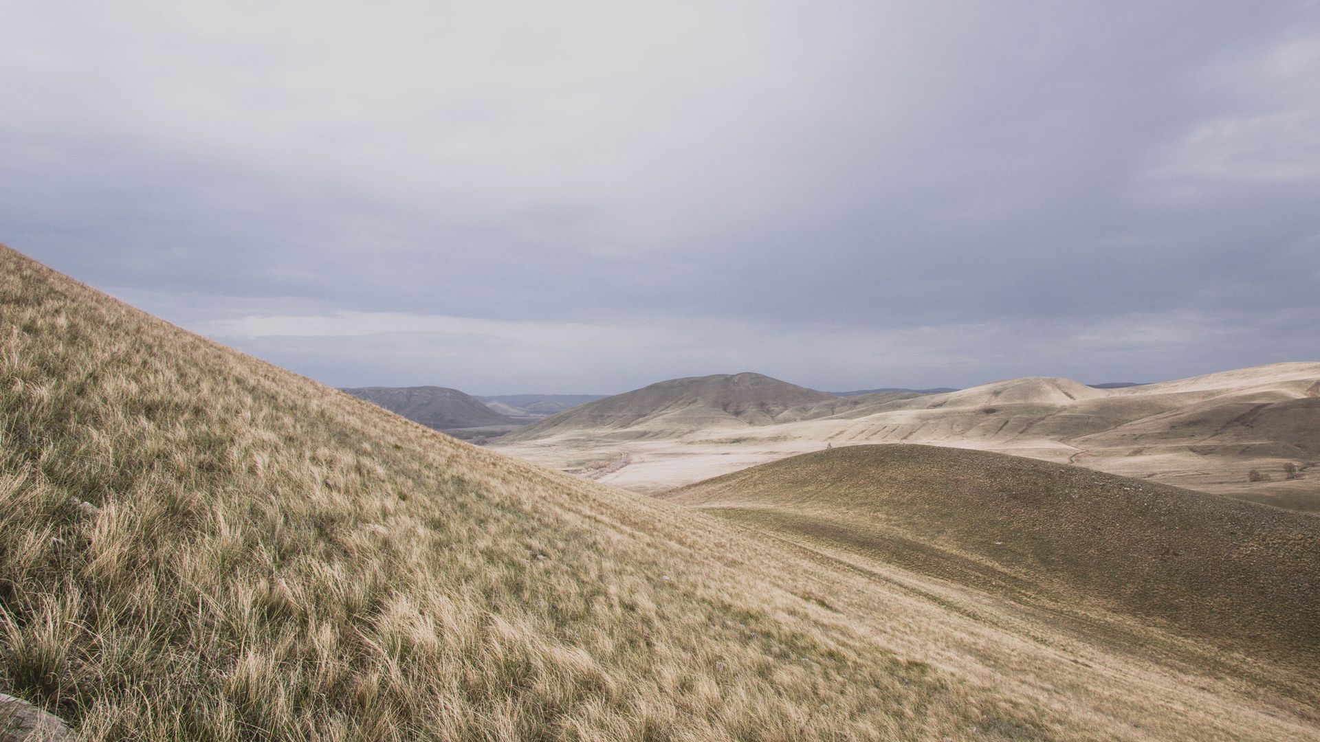 Wind over de Patagonische steppe met bergen aan de horizon