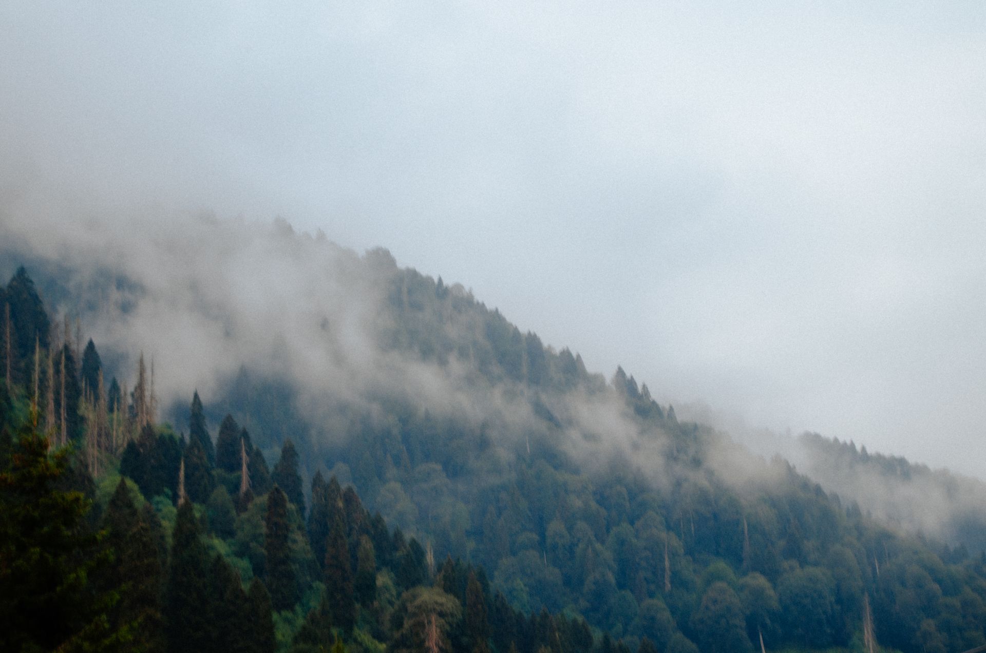 bhutan
