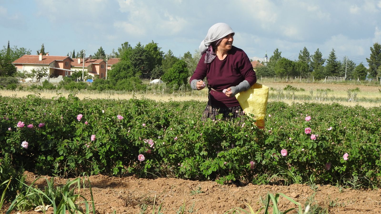 bulgarije
