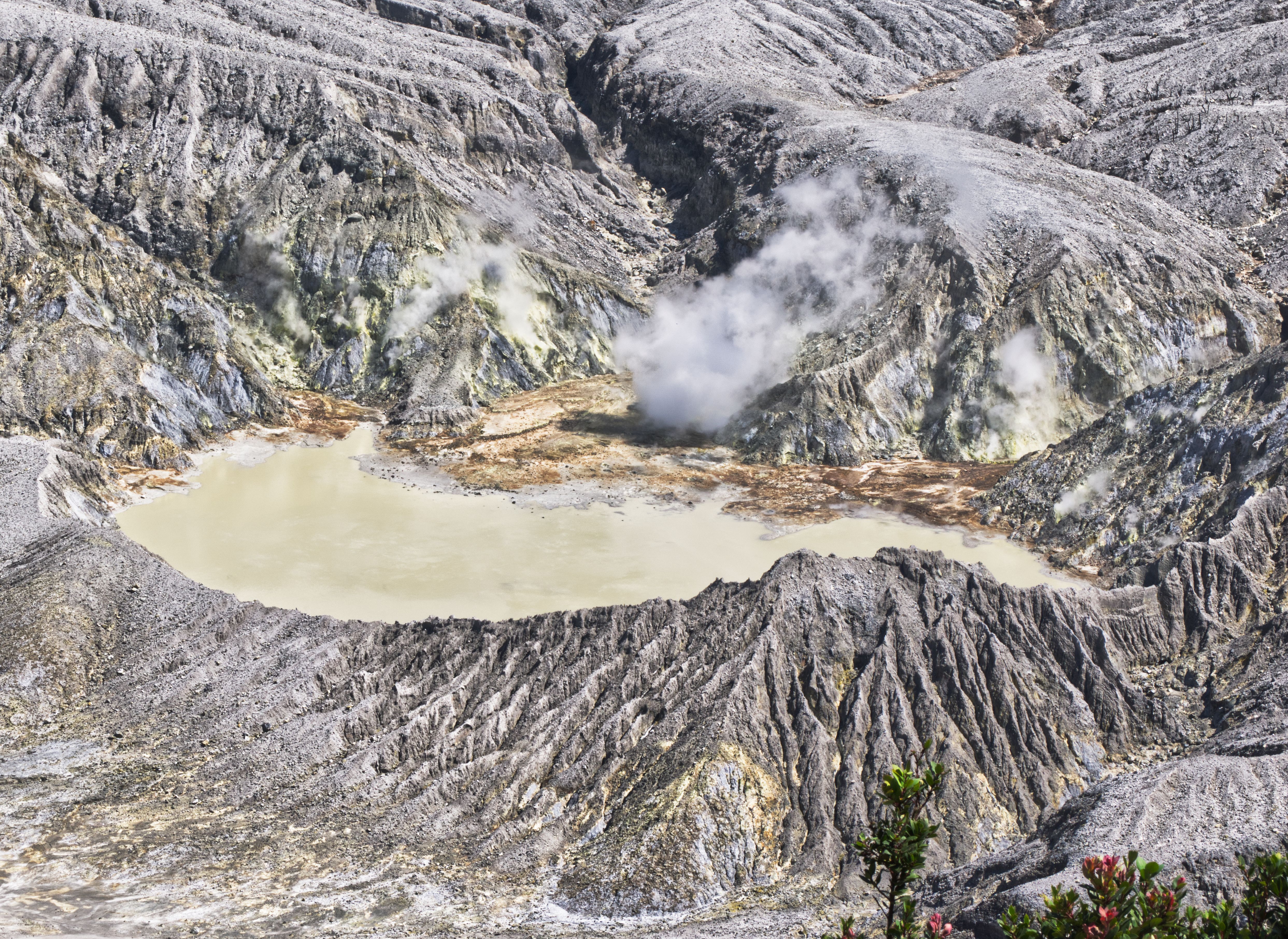 Lac de cratère vert soufre du volcan Santa Ana, bords fumants et roche nue