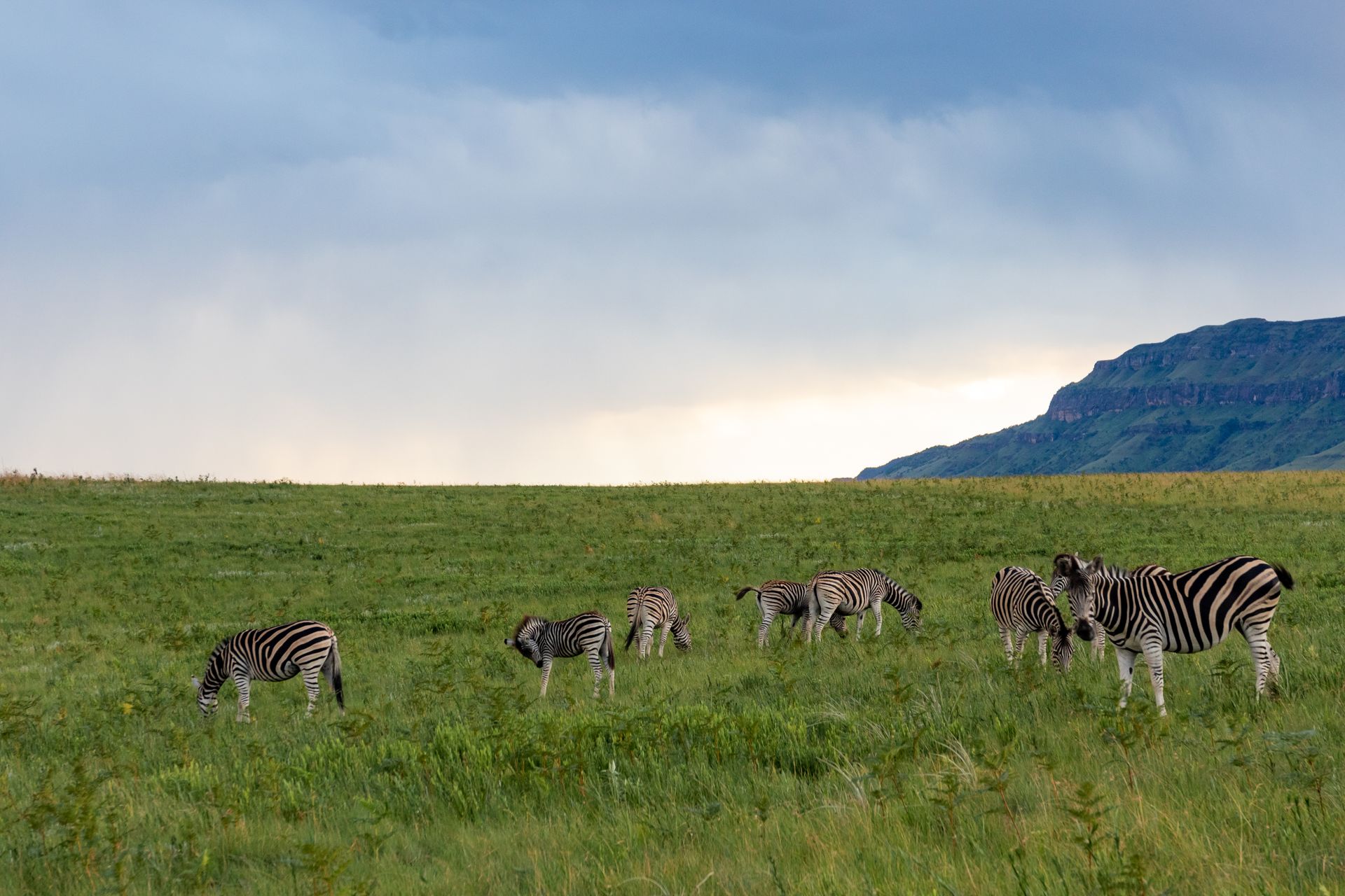 eswatini