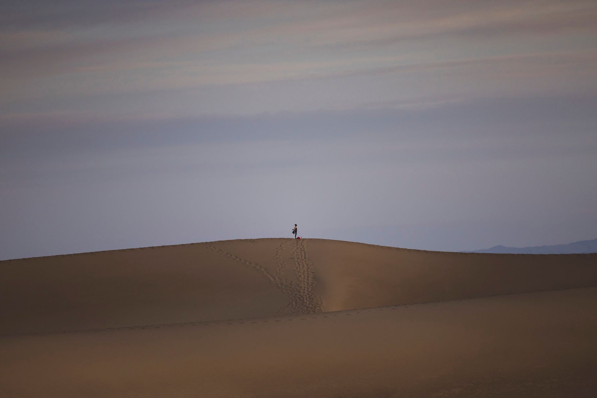 Vaste paysage en lumière rasante