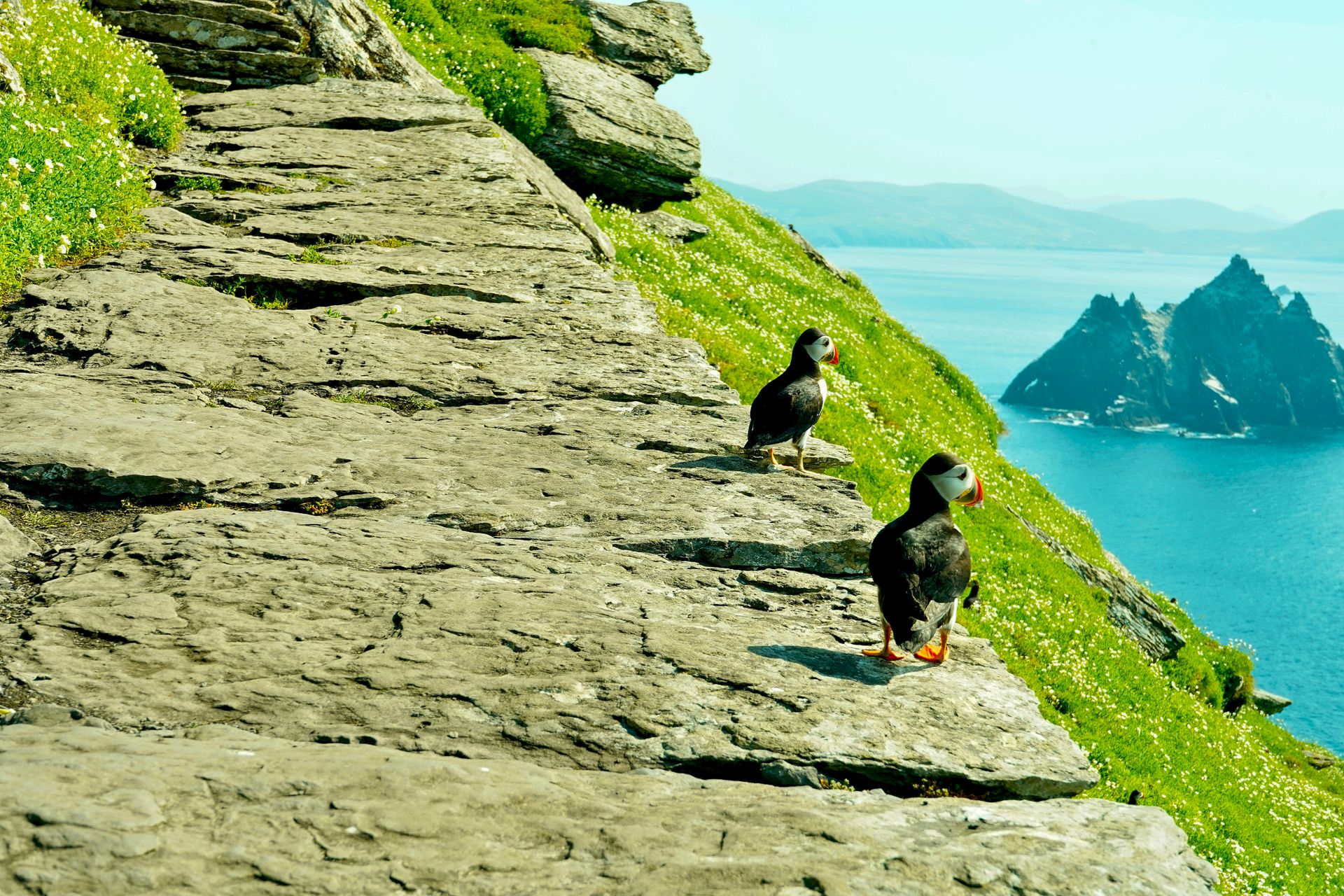 ierland