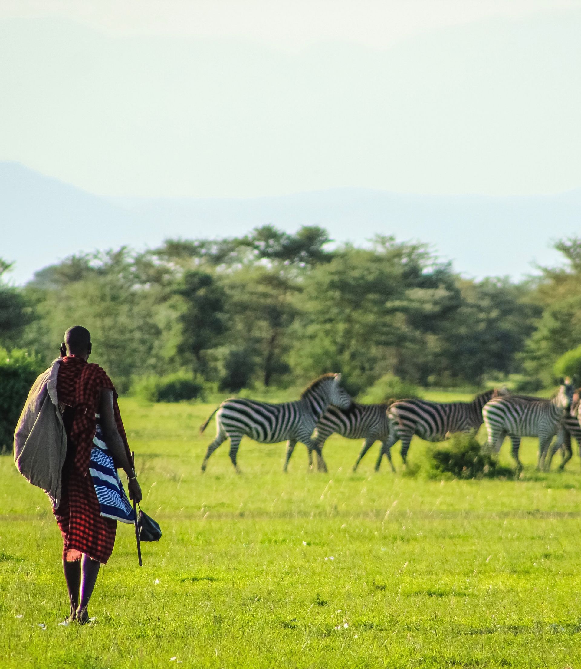 kenya