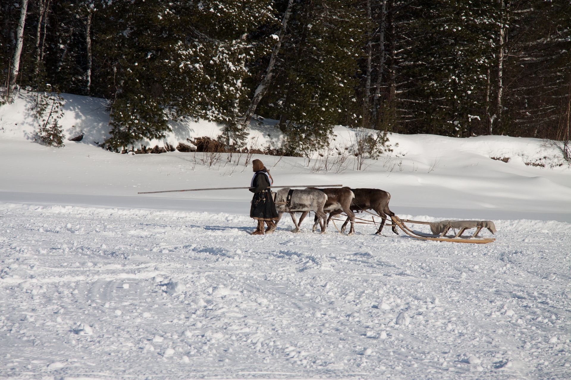 lapland