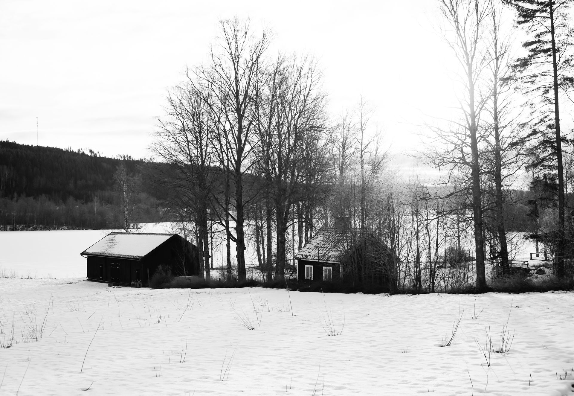lapland