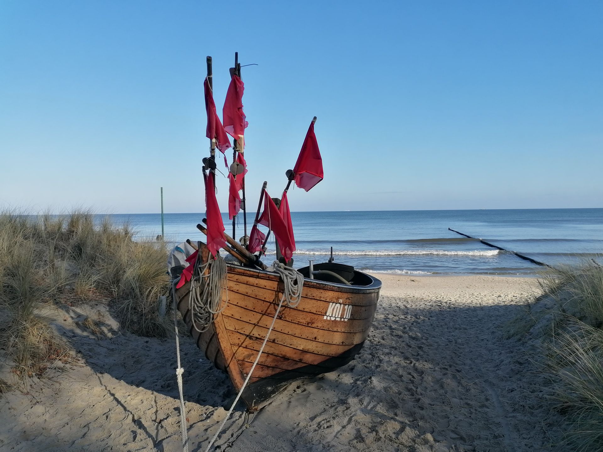 Dune couverte d'oyats sur la côte de Kurzeme, pinède et mer Baltique derrière
