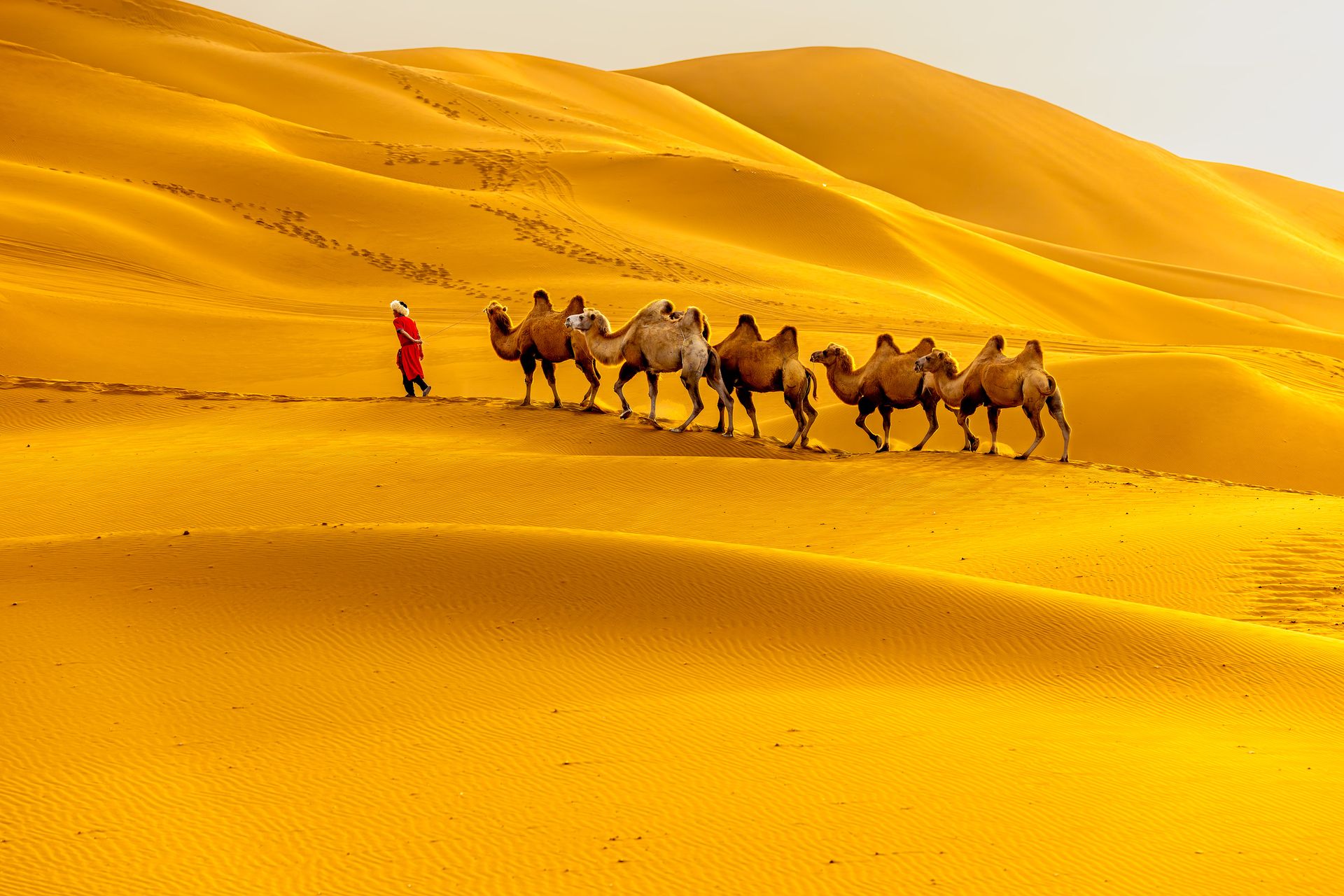 mongolie