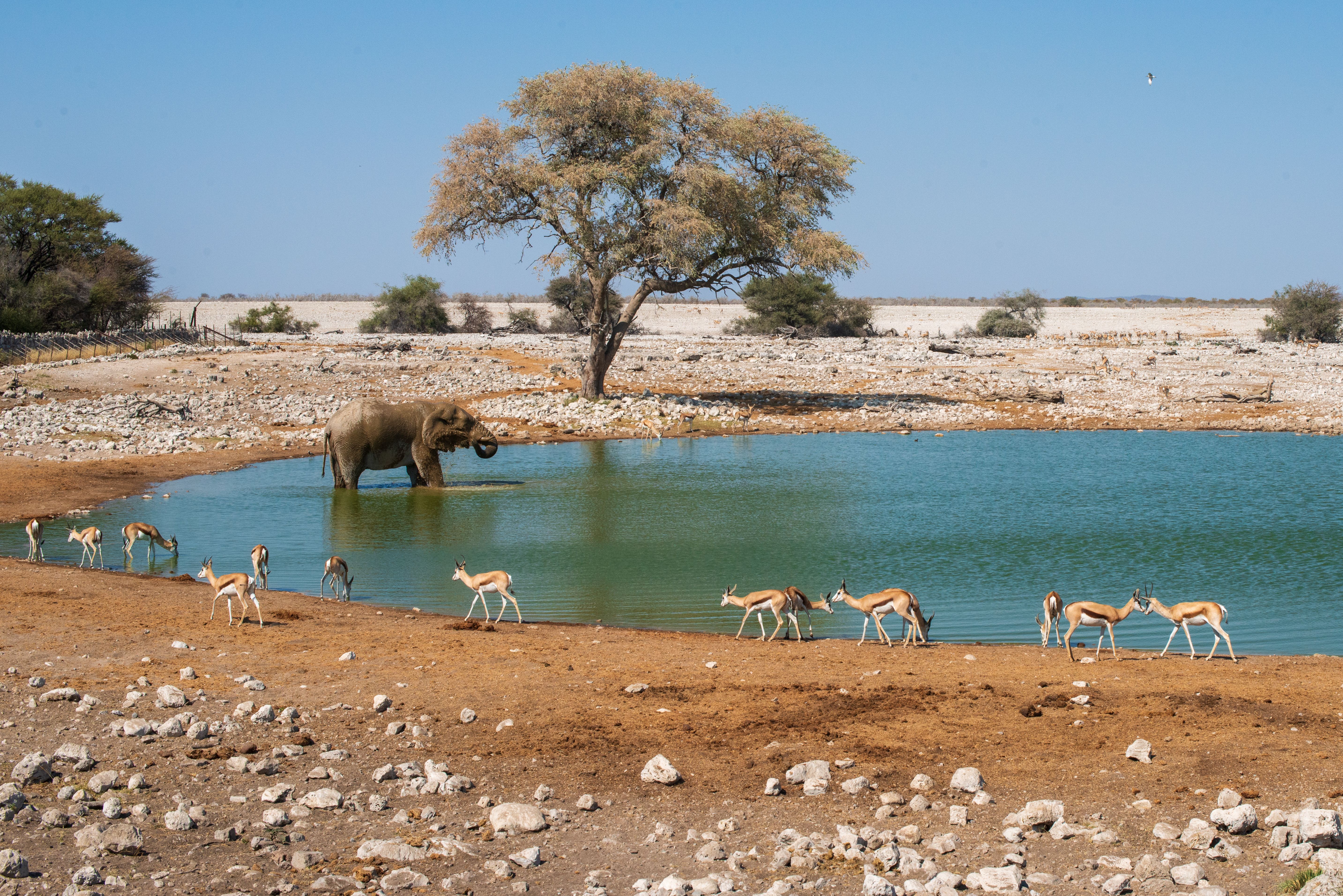 namibie