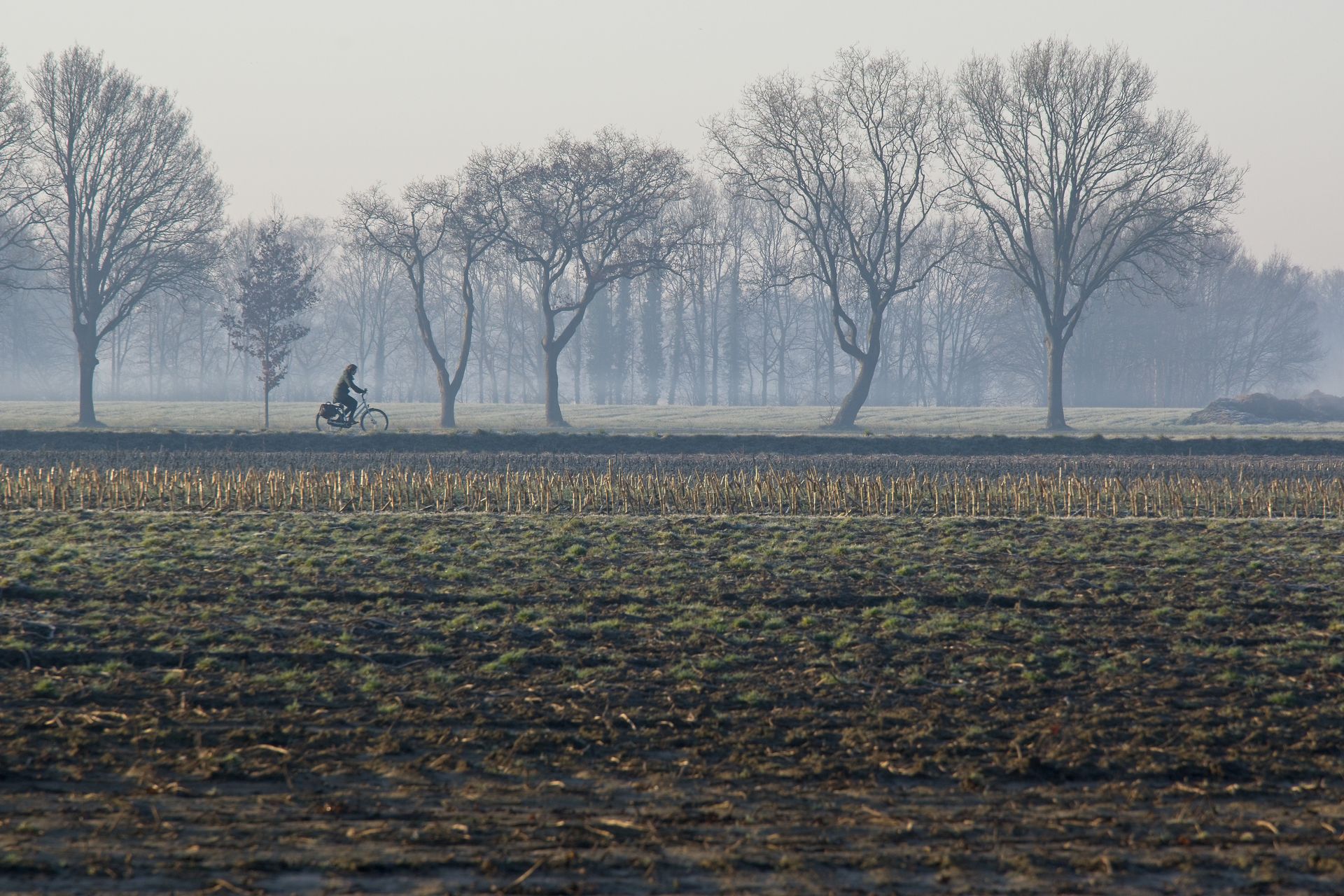 nederland