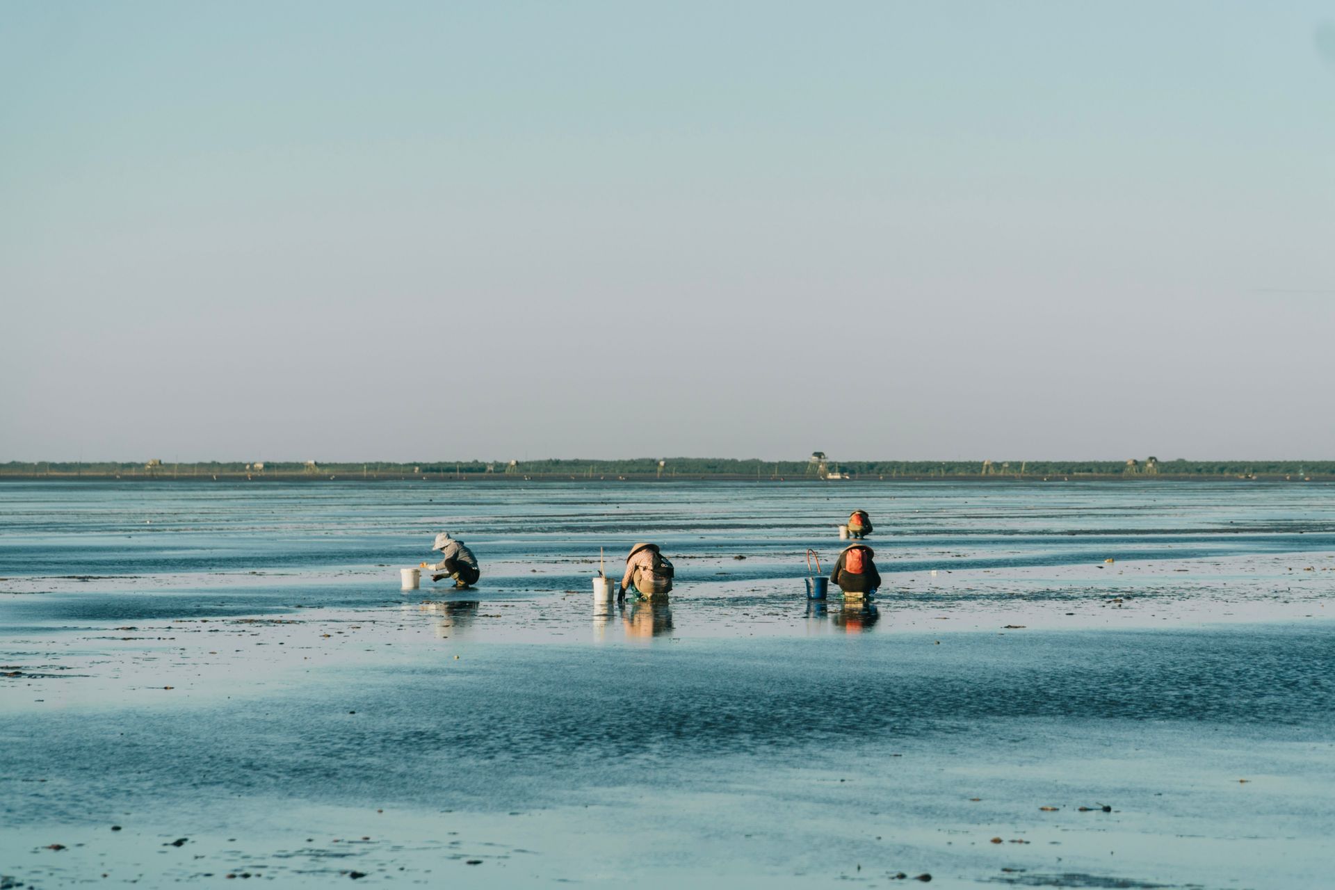 Des marcheurs ne sont que de petites silhouettes sur une vaste vasière à marée basse sous un ciel gris.