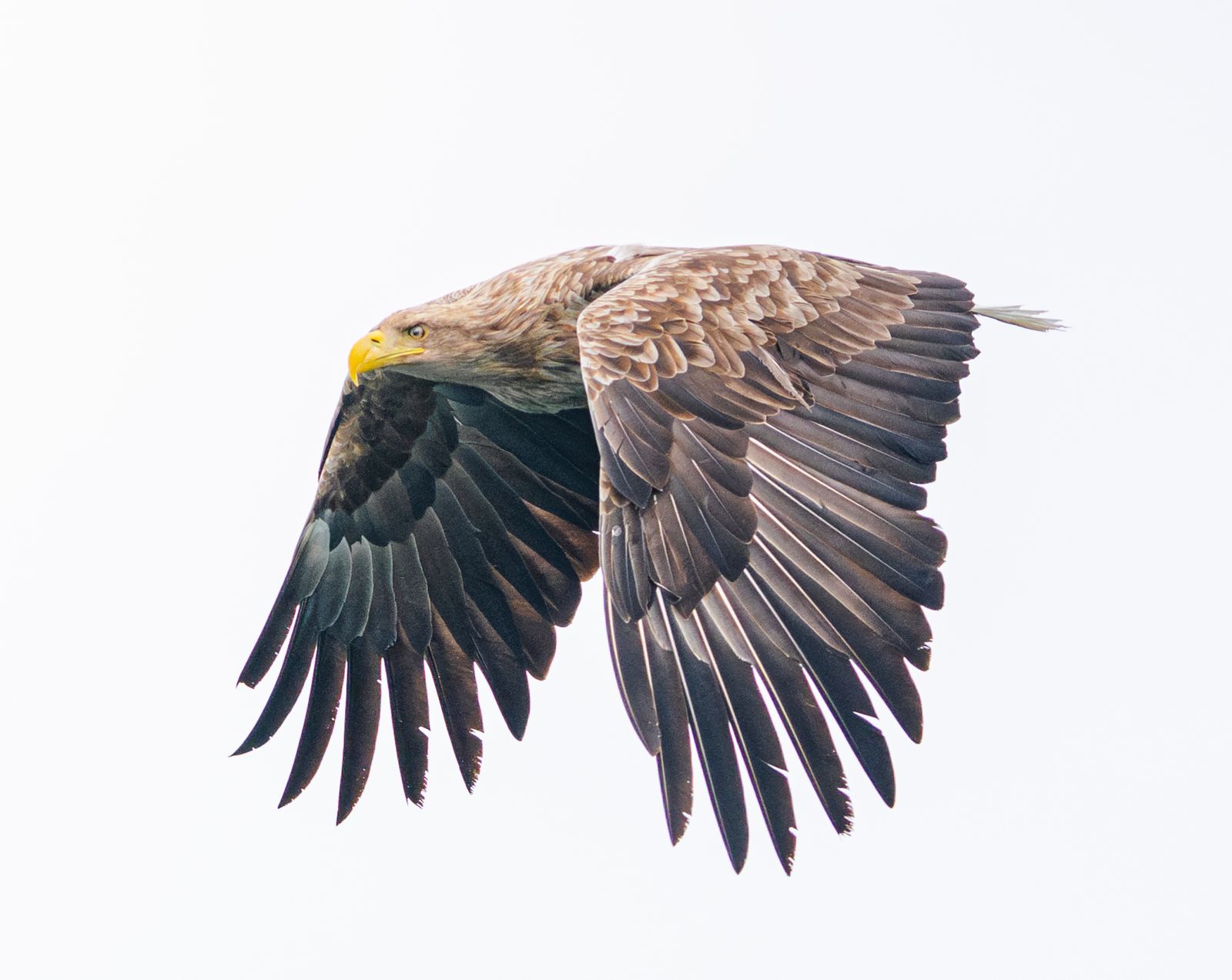 noorwegen