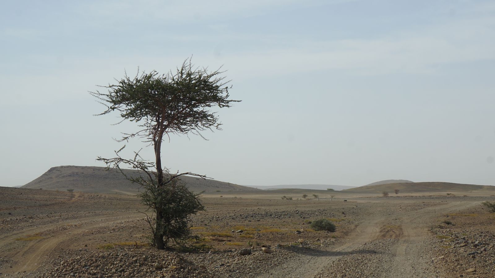 oman
