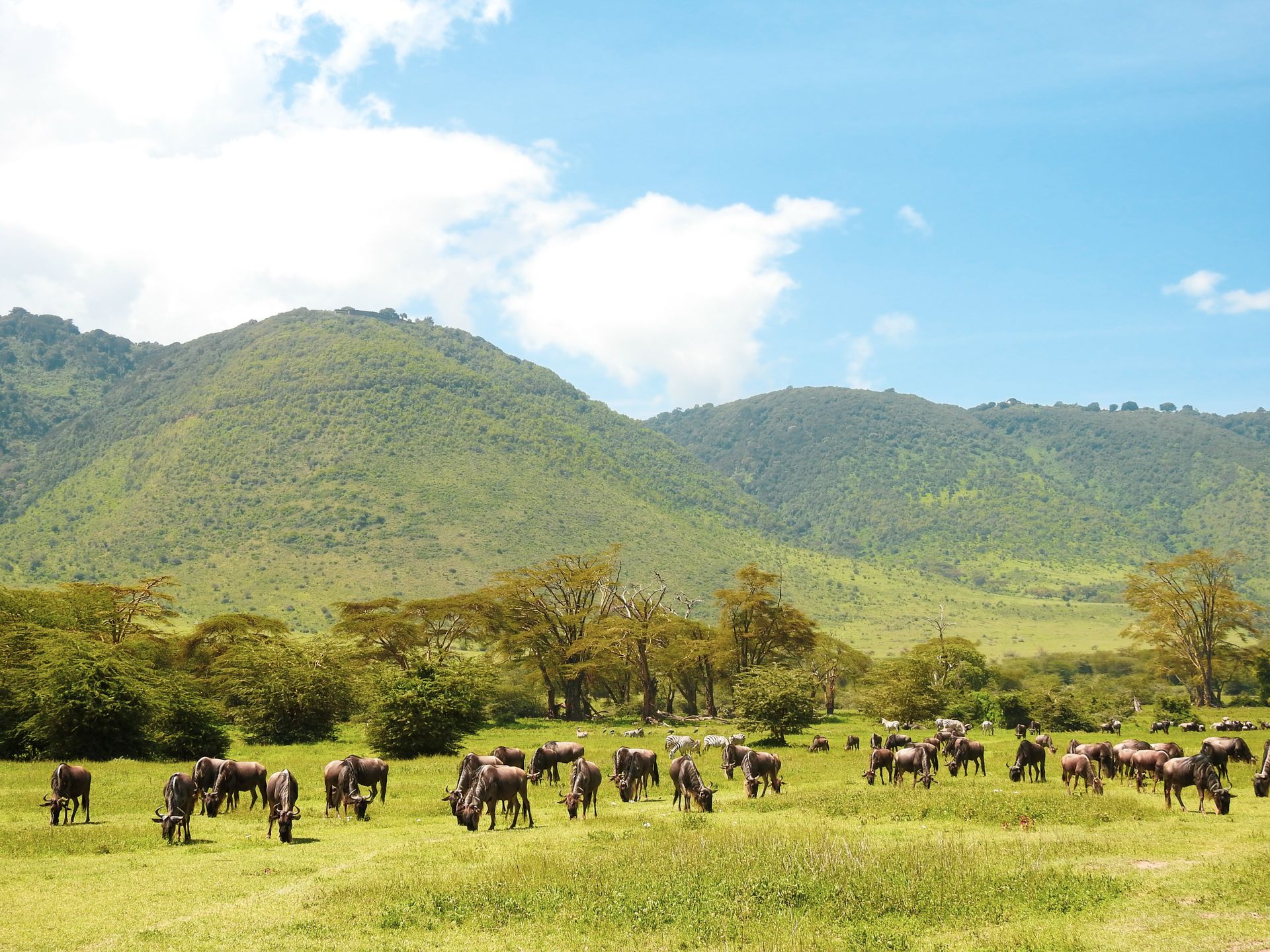 tanzania