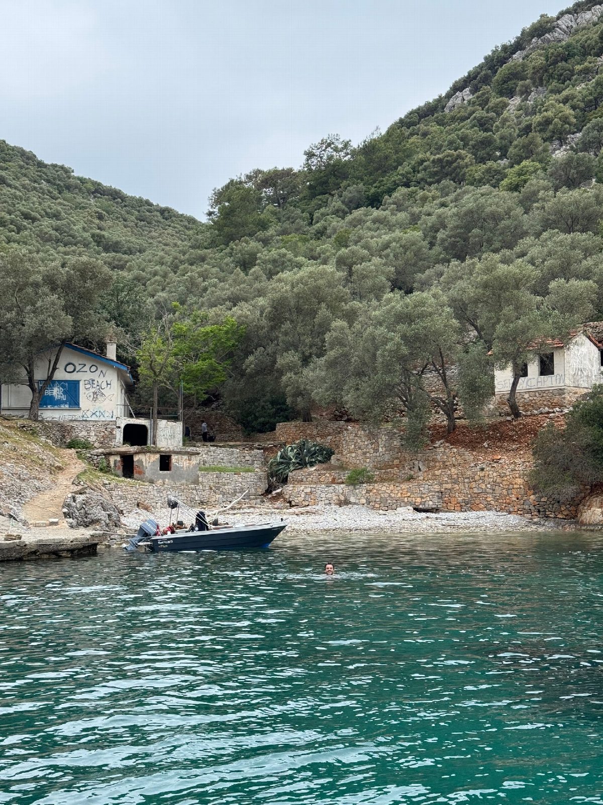 albanie