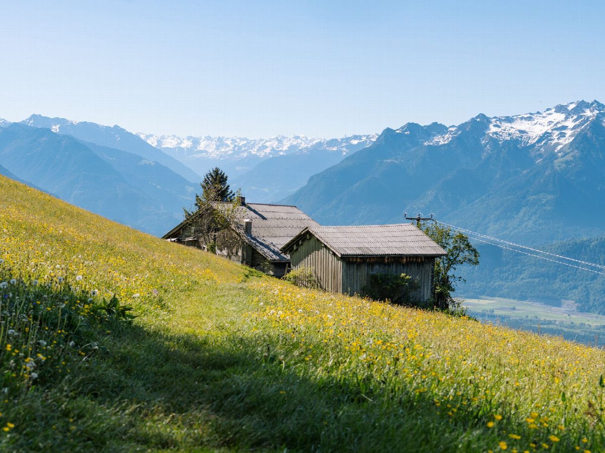 de Alpen