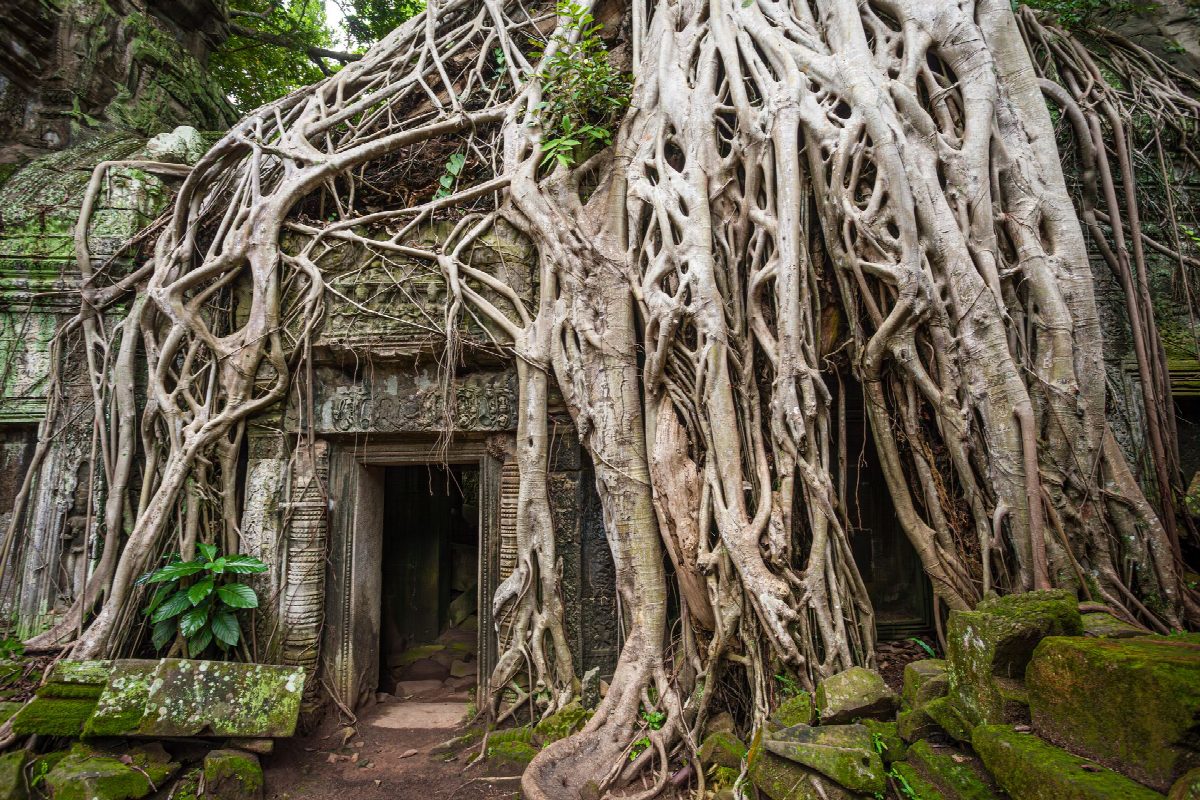Cambodja