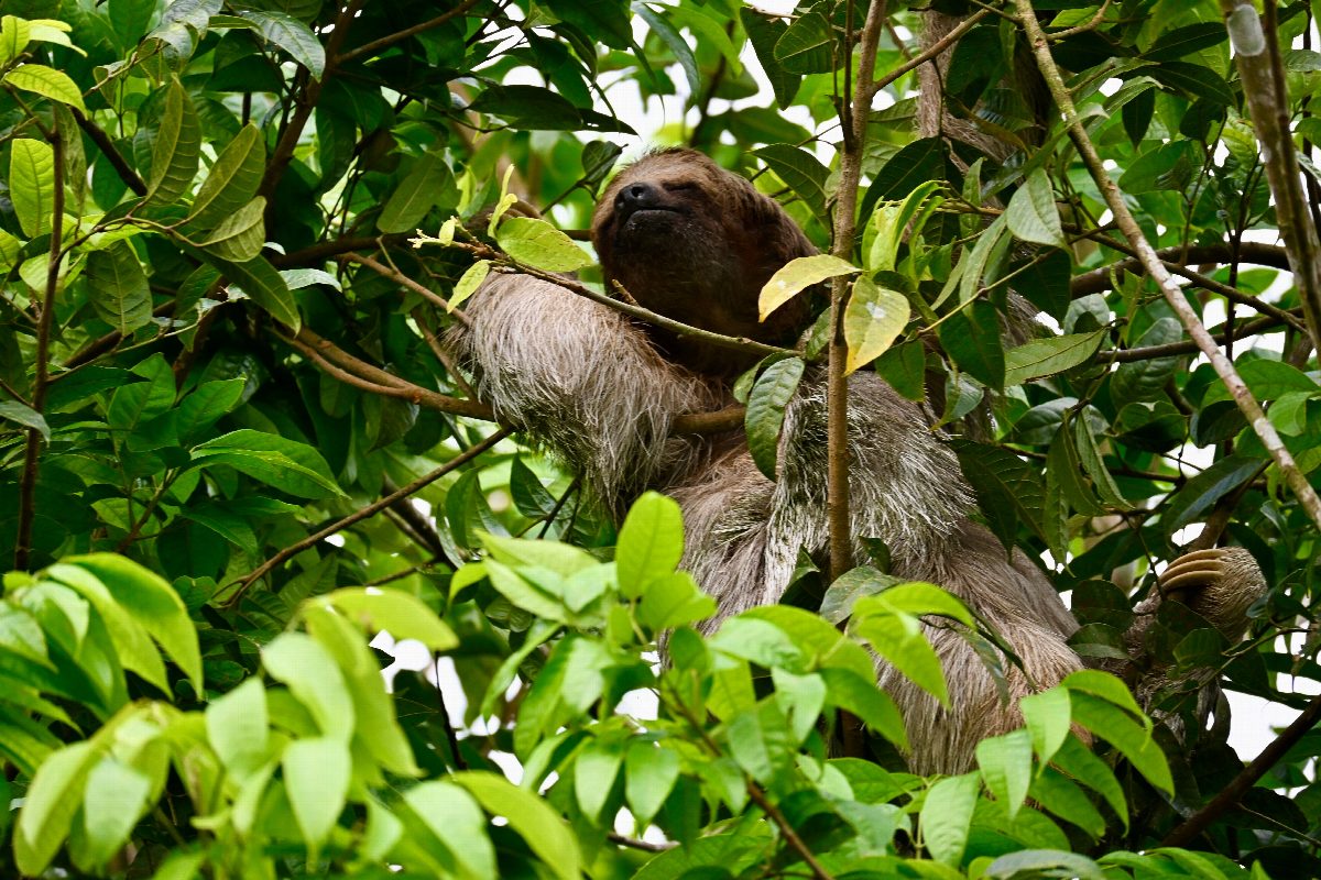 costa-rica