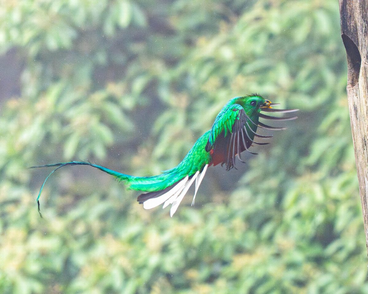 costa-rica