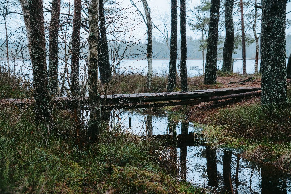 Estland