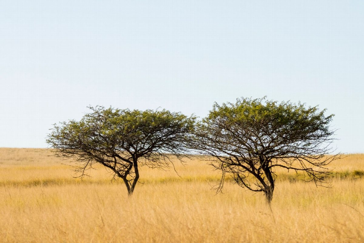eswatini