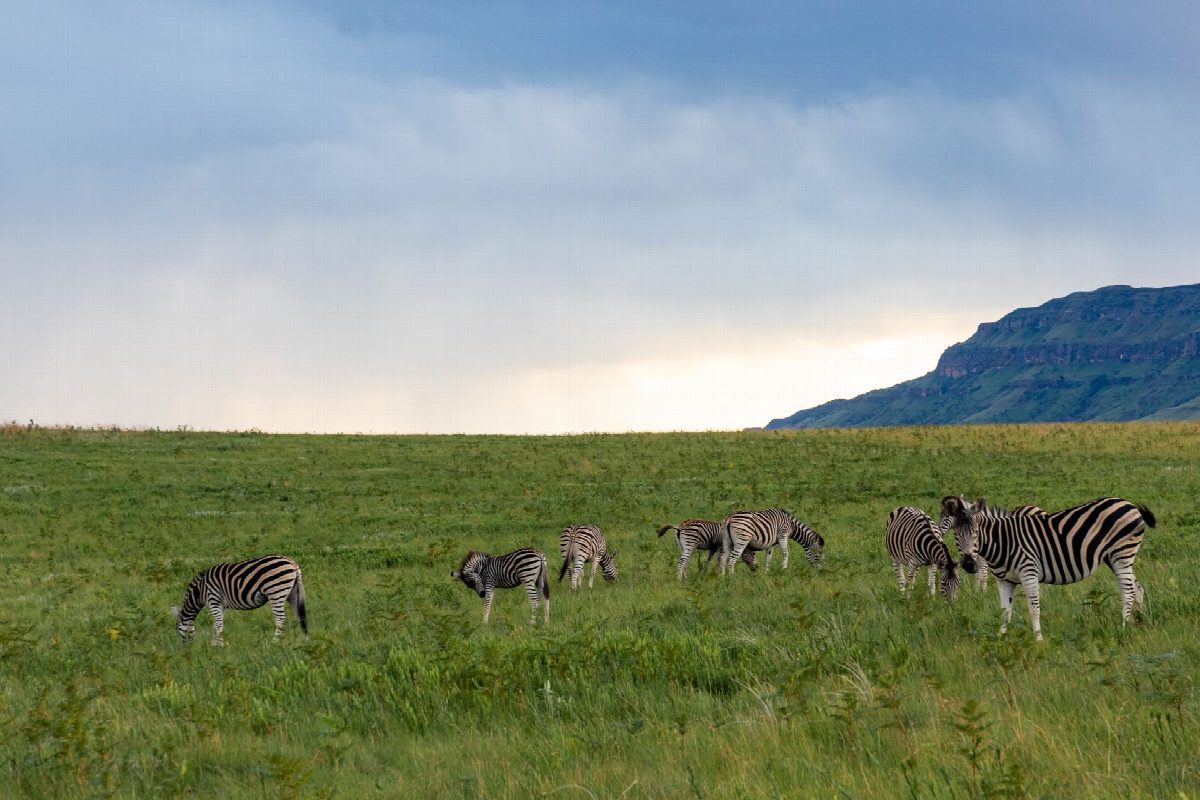 eswatini