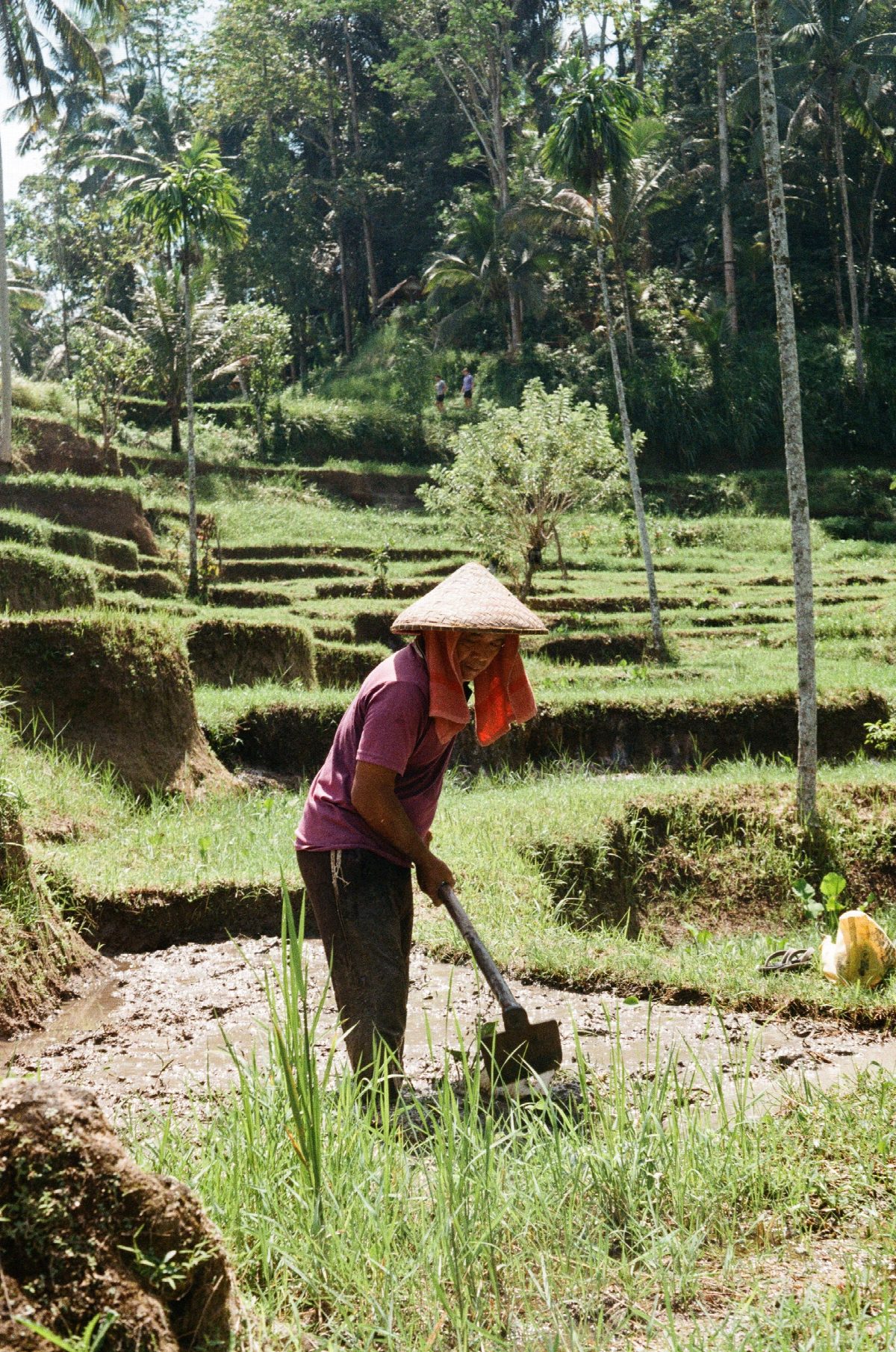 laos