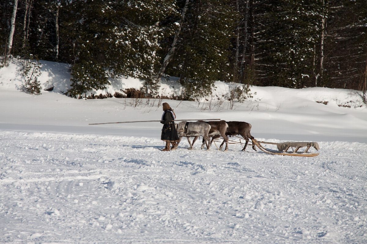 lapland