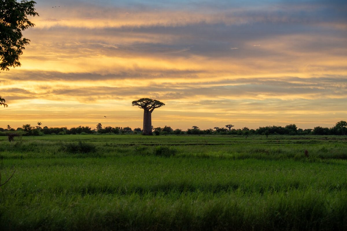 madagaskar