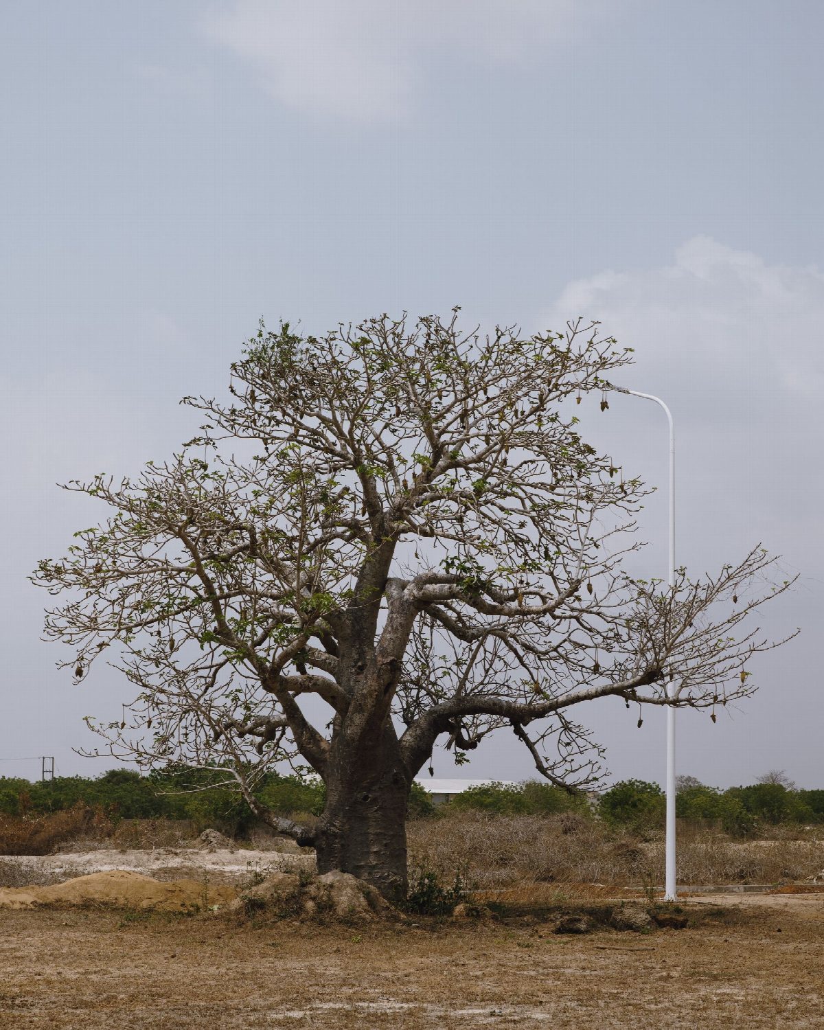 madagaskar
