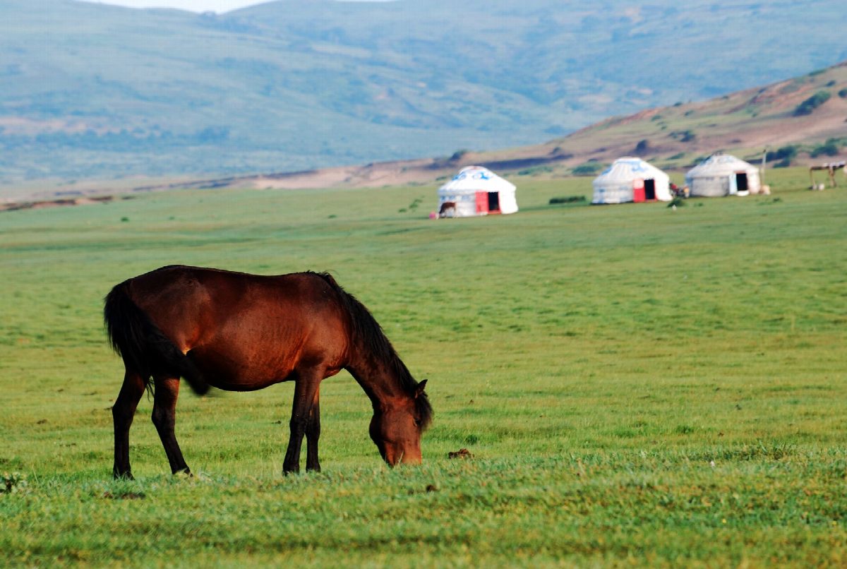 mongolie