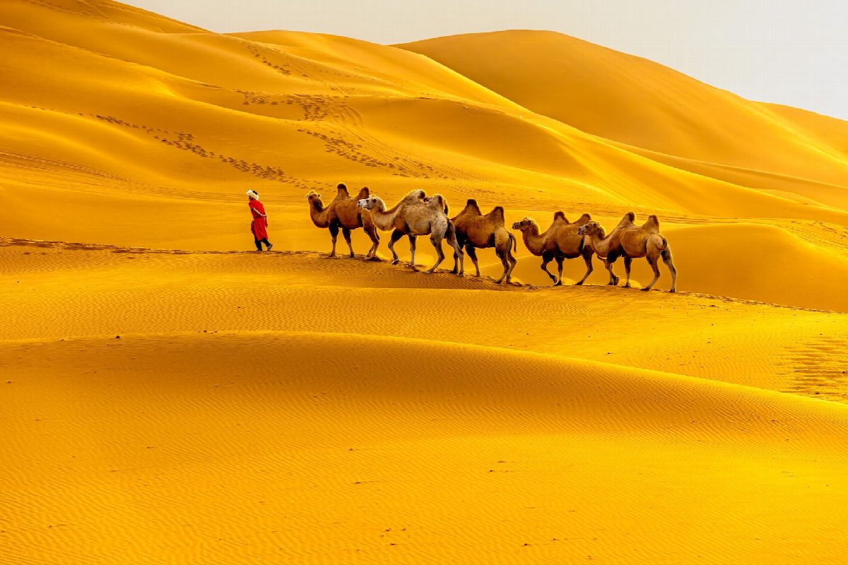 mongolie