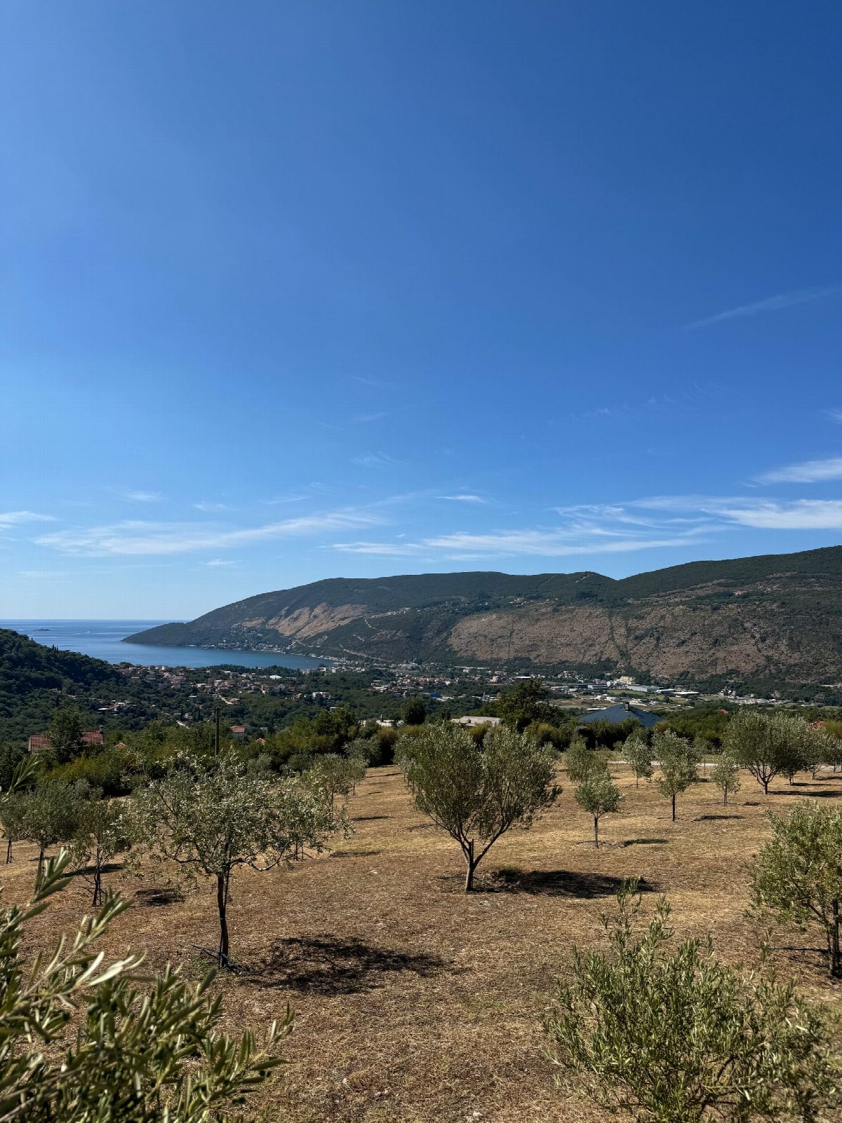montenegro