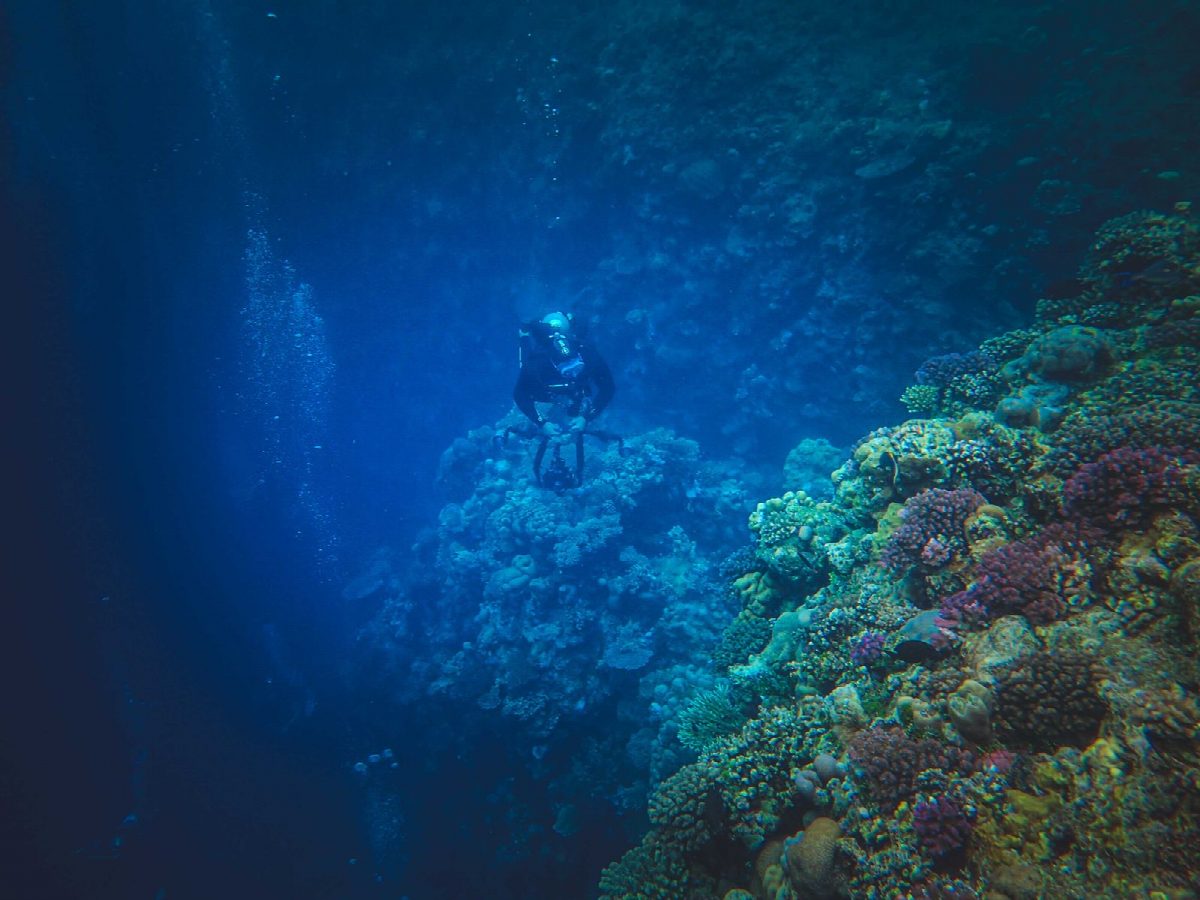 mozambique