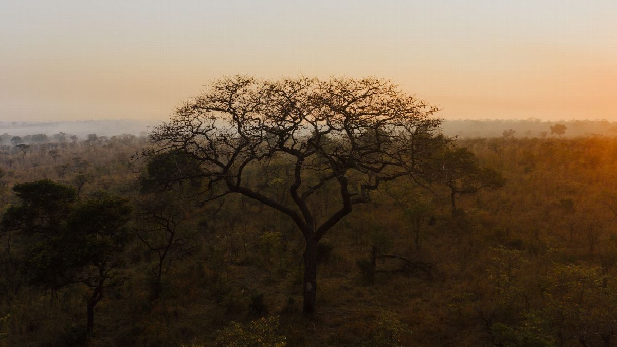 mozambique
