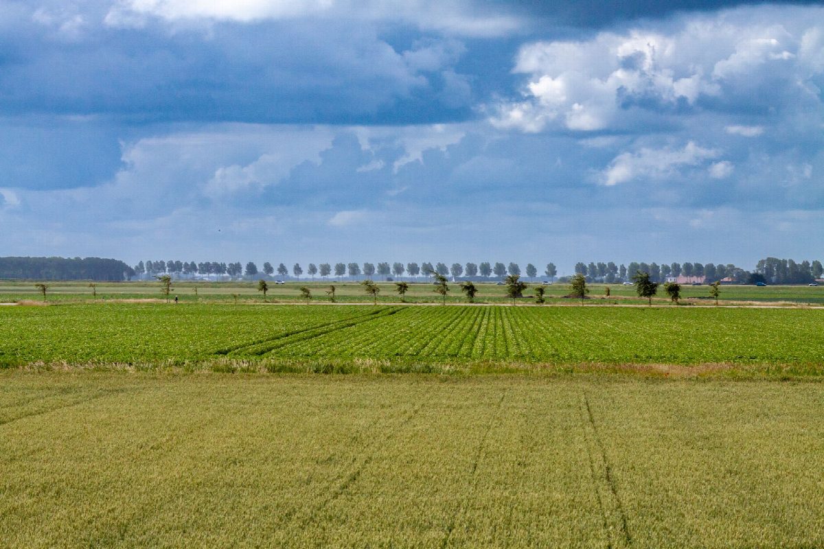 Nederland