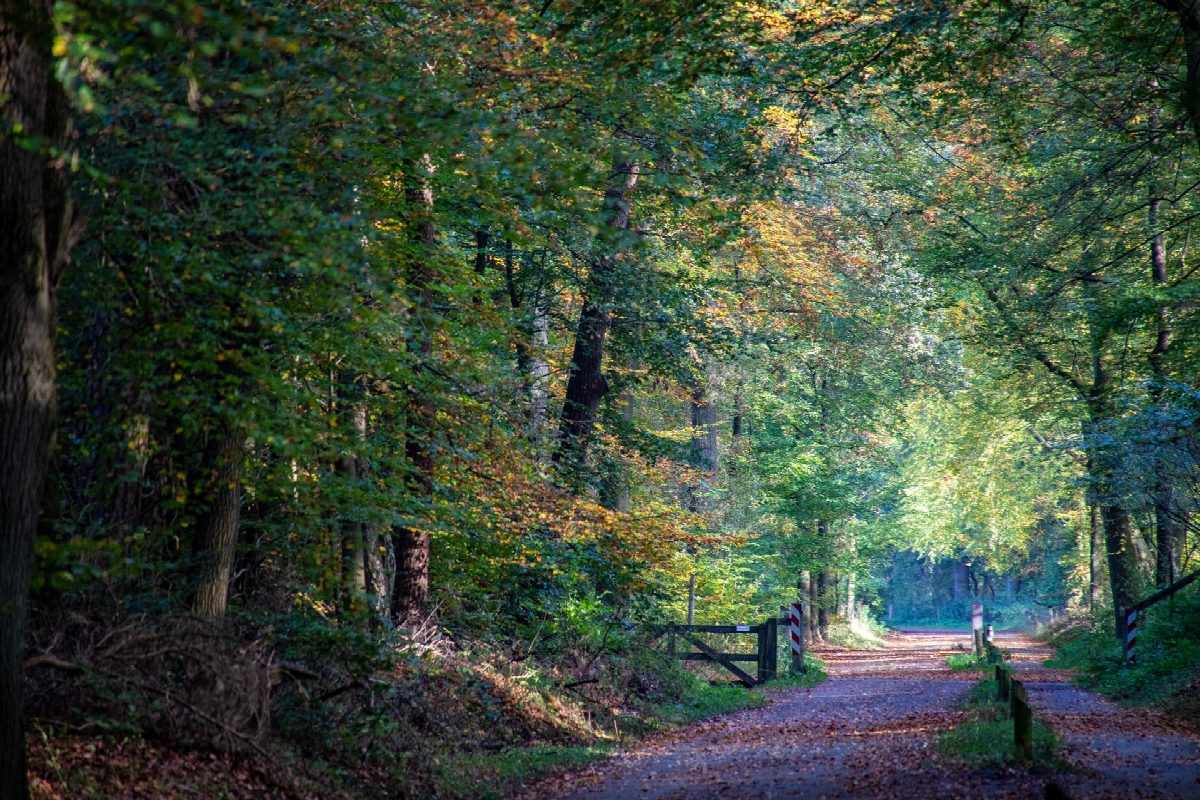 nederland