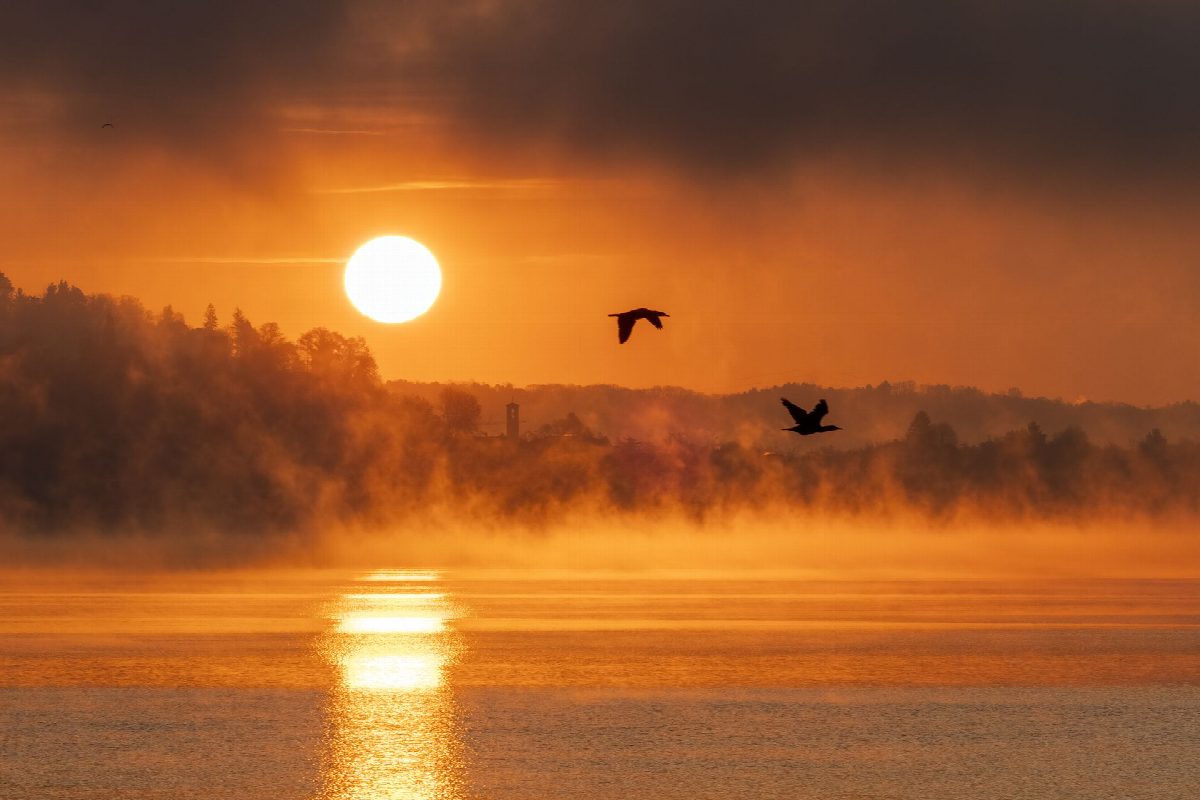 Polen