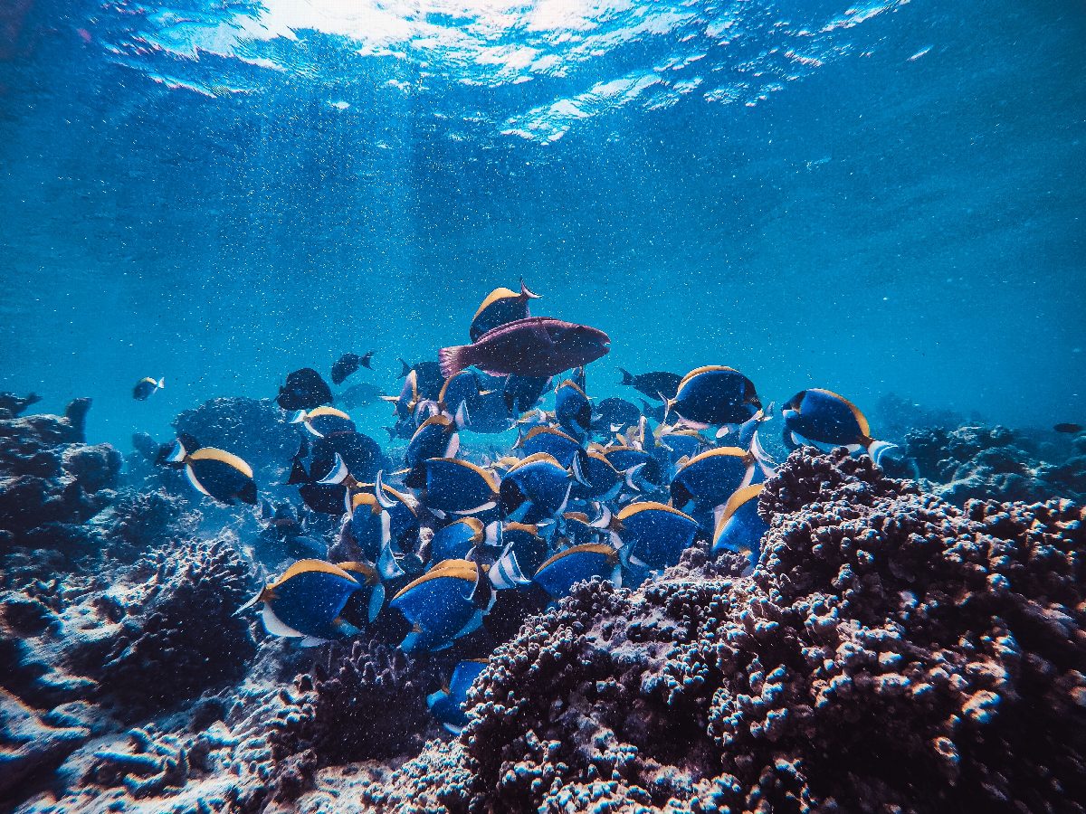seychellen