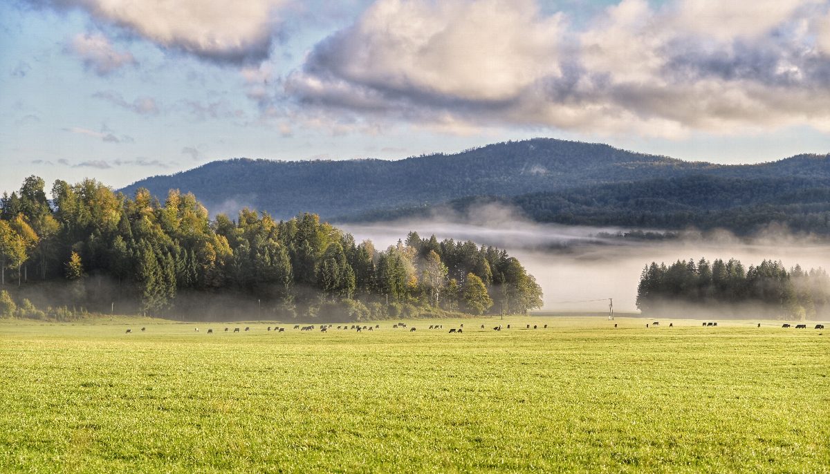 Slovenië
