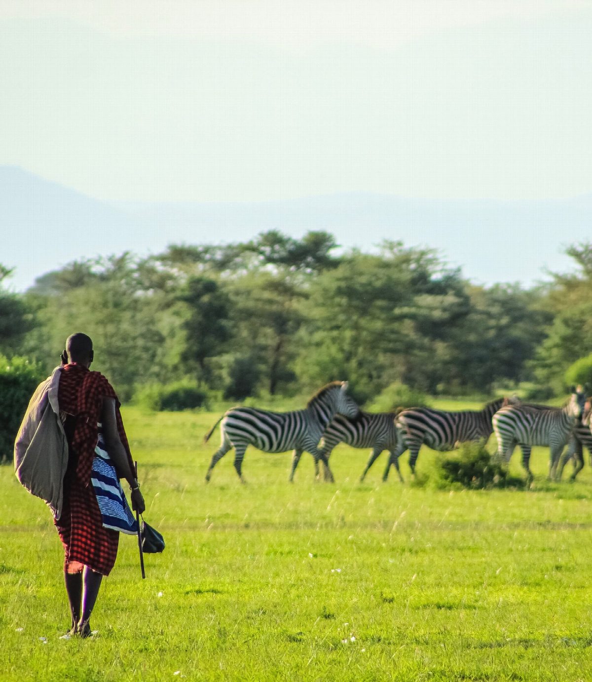 tanzania