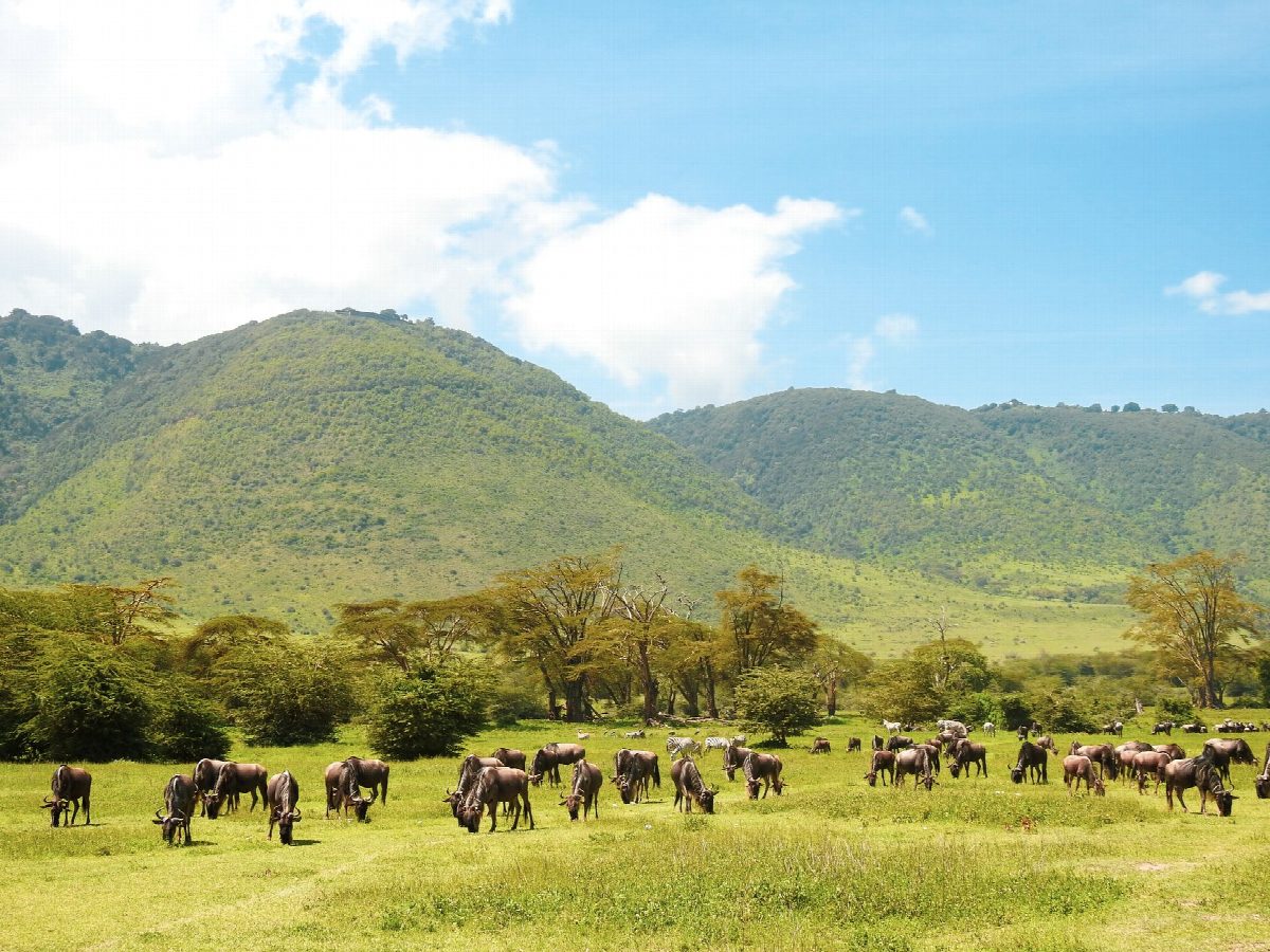 tanzania