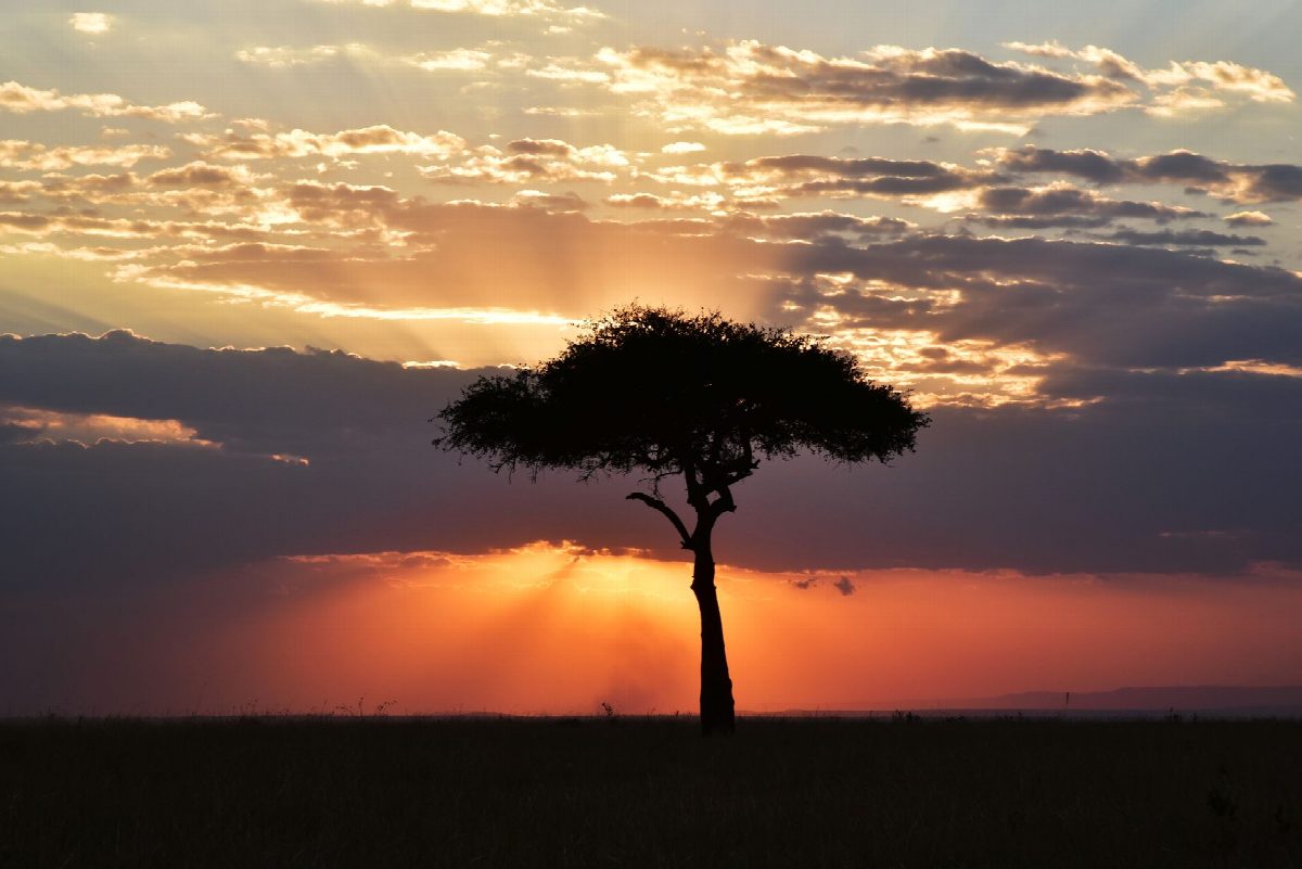 tanzania
