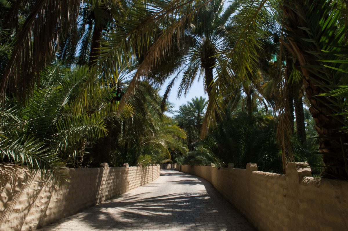 verenigde-arabische-emiraten