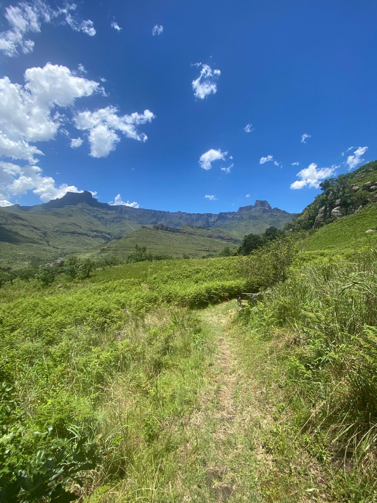 zuid-afrika
