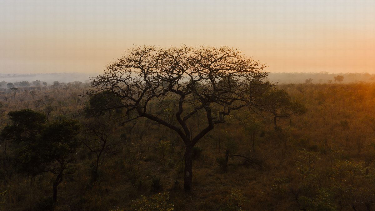 zuid-afrika