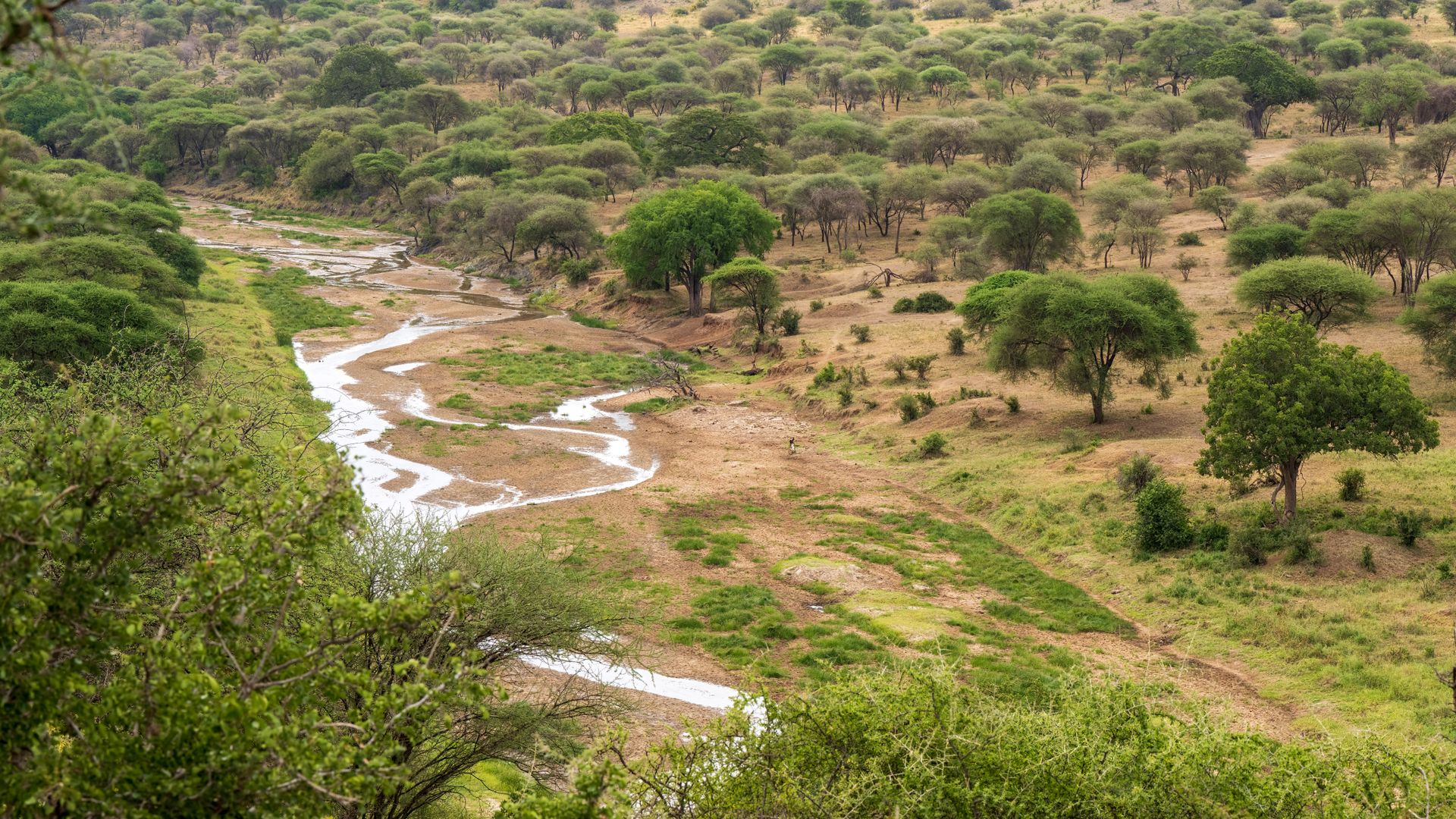 zambia