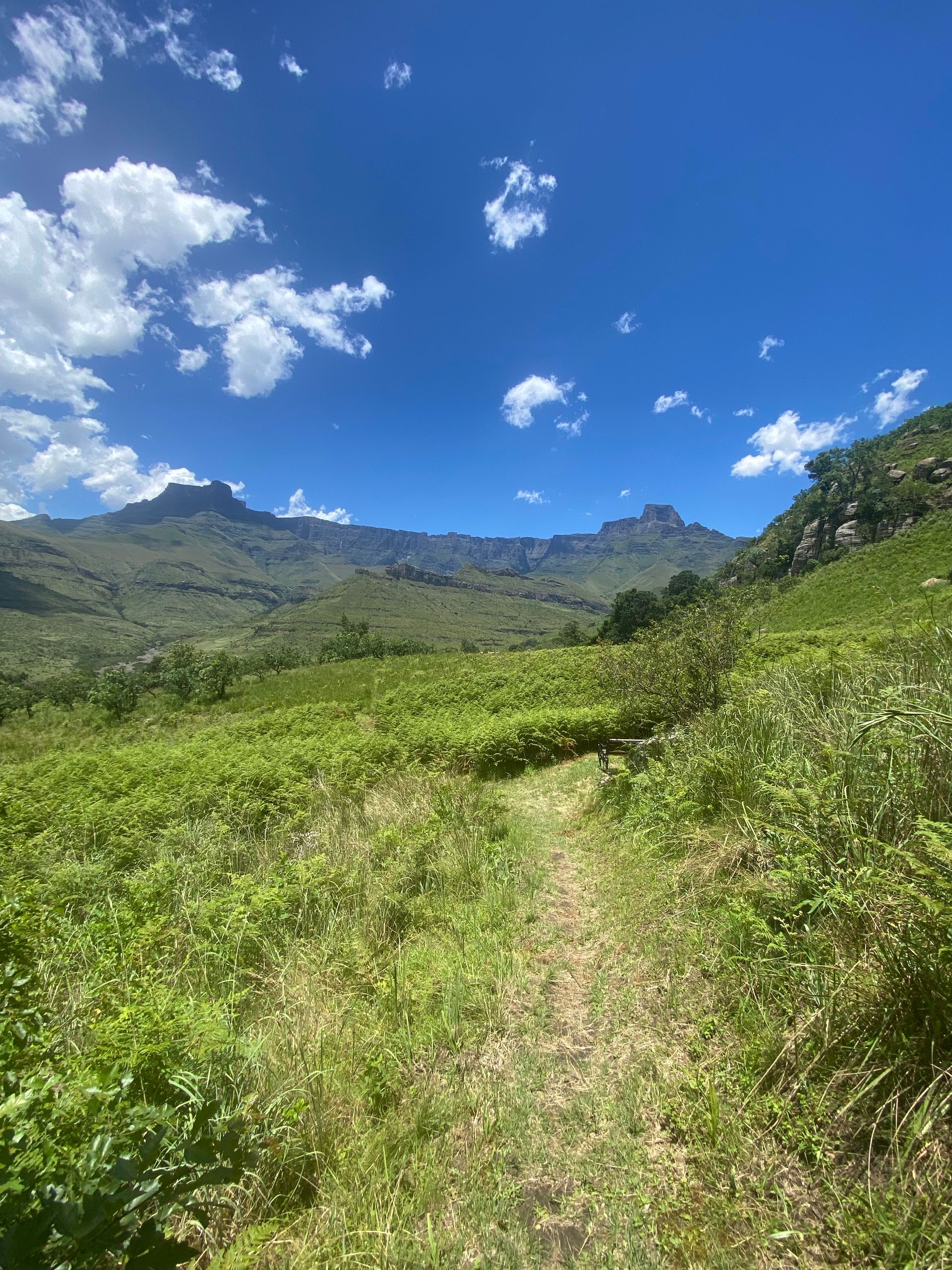 zuid-afrika